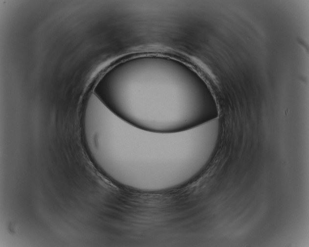 X0000094081364200710190908