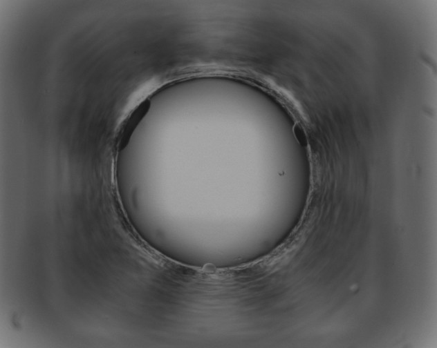 X0000094081365200710190908