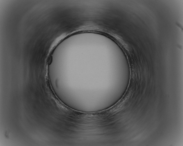 X0000094081366200710190908