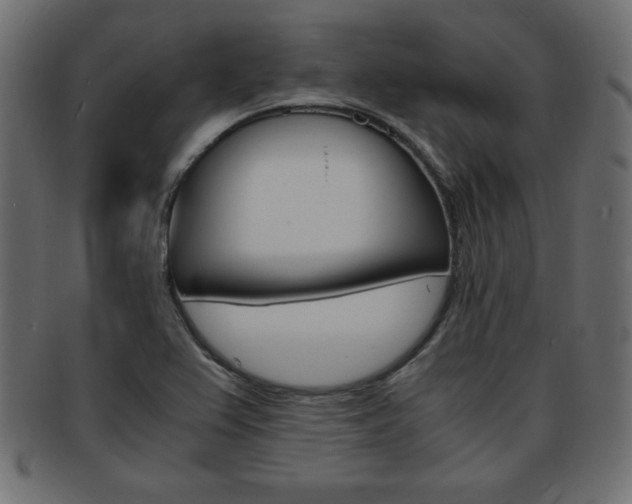 X0000094081367200710190908