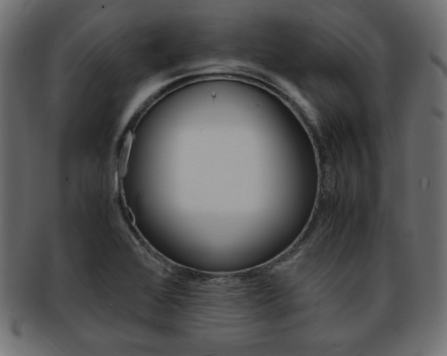 X0000094081368200710190908