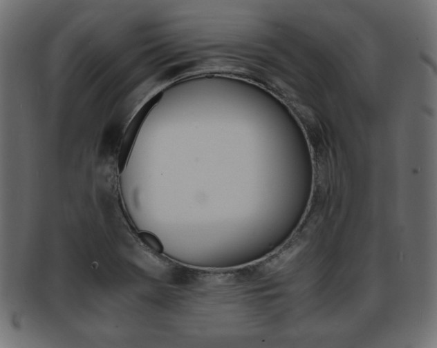 X0000094081369200710190908