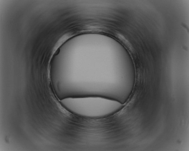 X0000094081370200710190908