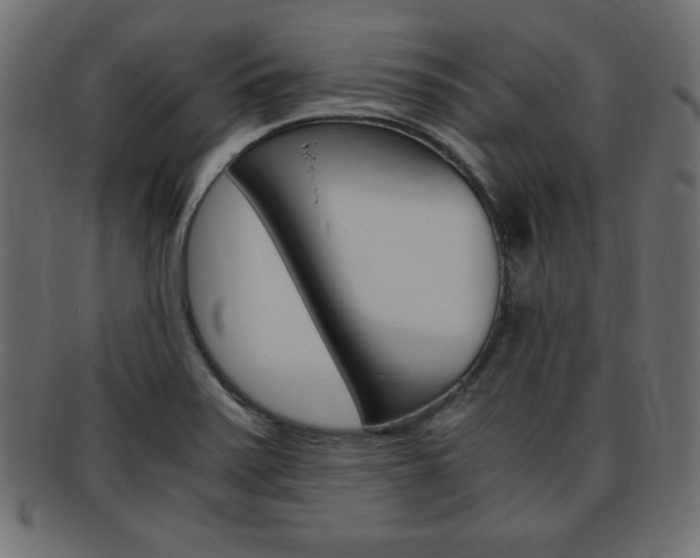 X0000094081371200710190908