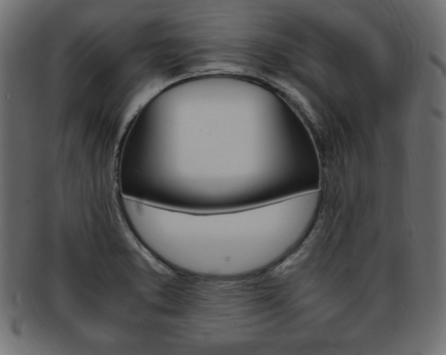 X0000094081373200710190908