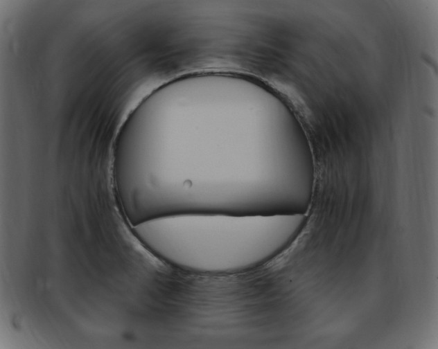 X0000094081374200710190908