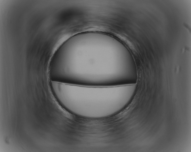 X0000094081375200710190908