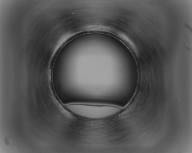 X0000094081376200710190908