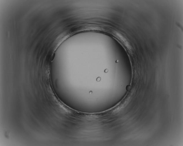 X0000094081377200710190908