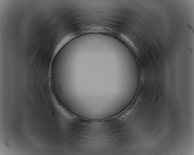 X0000094081378200710190908