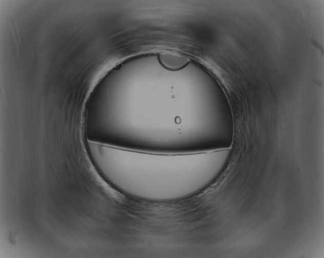 X0000094081379200710190908