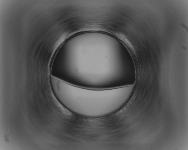 X0000094081380200710190908