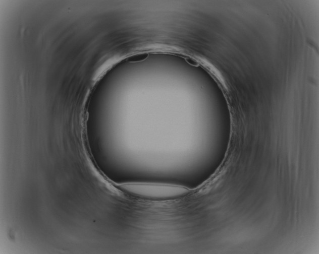 X0000094081381200710190908