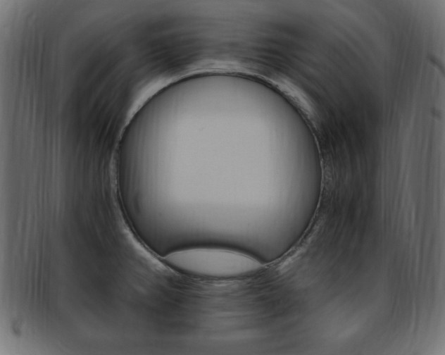 X0000094081382200710190908