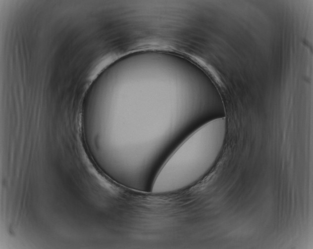 X0000094081383200710190908