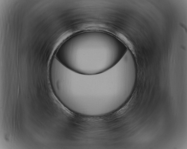X0000094081384200710190908