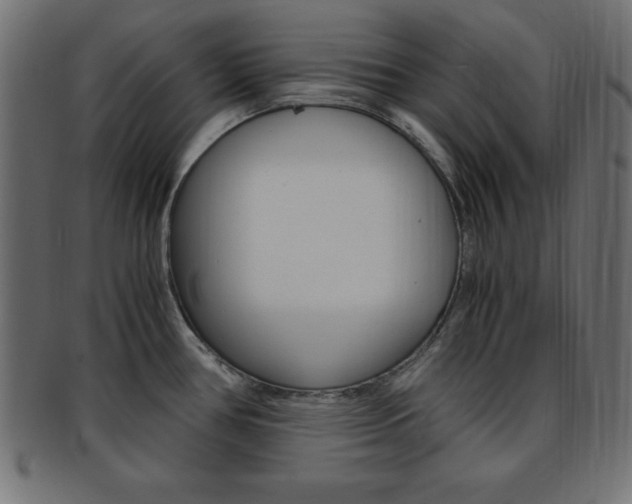 X0000094081386200710190908