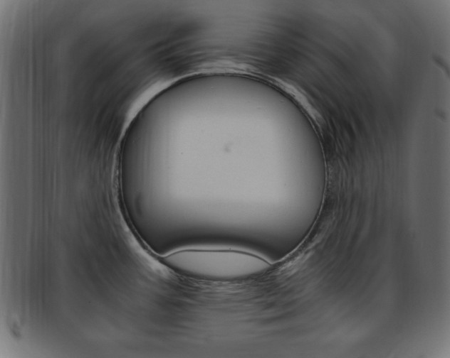 X0000094081387200710190908