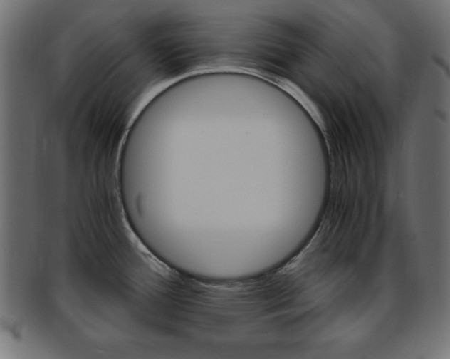 X0000094081388200710190908