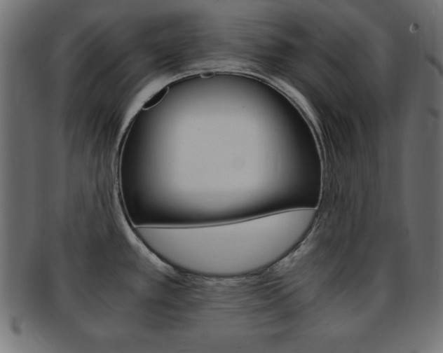 X0000094081389200710190908