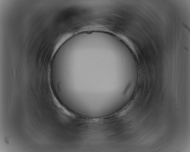 X0000094081390200710190908