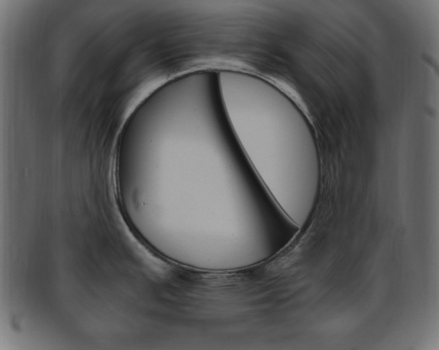 X0000094081391200710190908