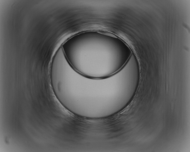 X0000094081392200710190908