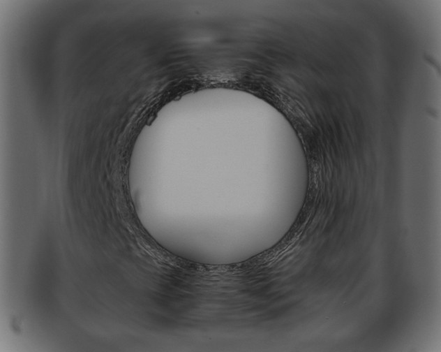 X0000094081393200710190907