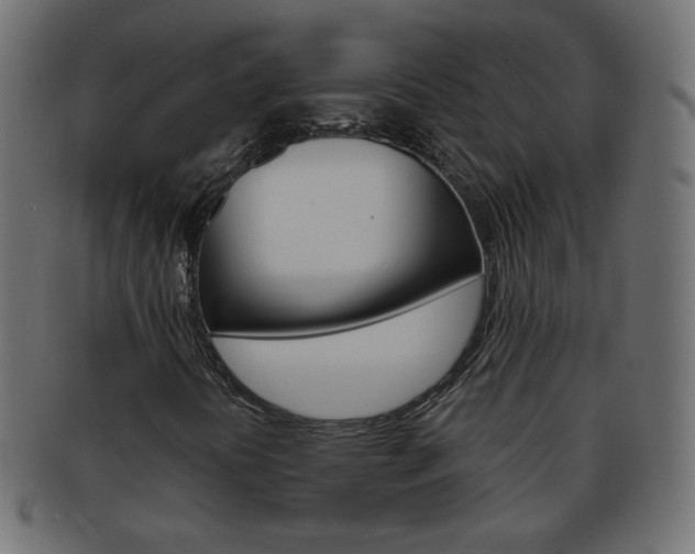 X0000094081394200710190907