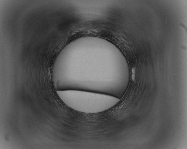 X0000094081395200710190907
