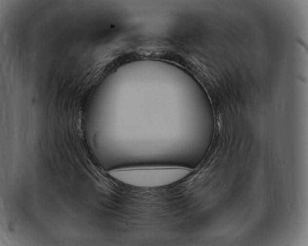 X0000094081396200710190907