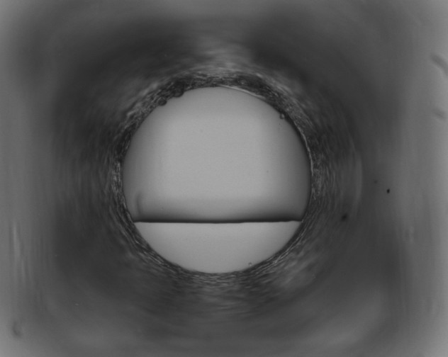 X0000094081397200710190907