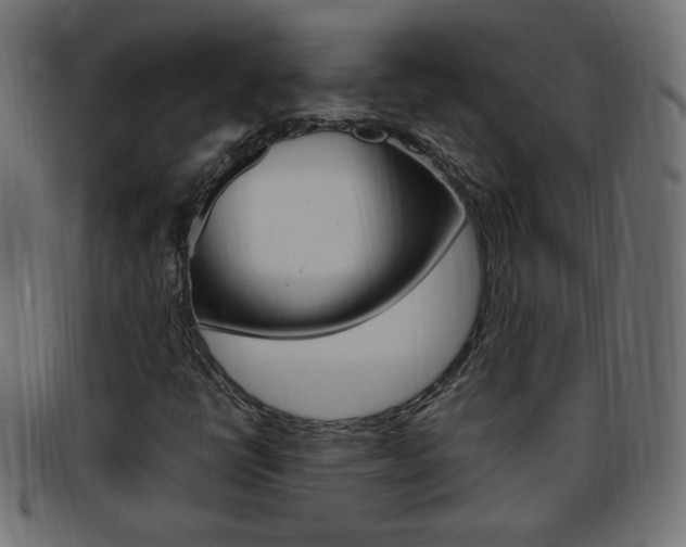 X0000094081398200710190907