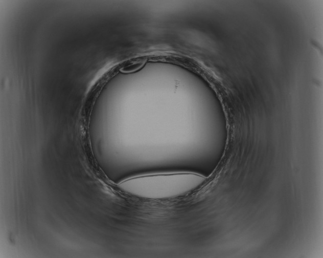 X0000094081400200710190907