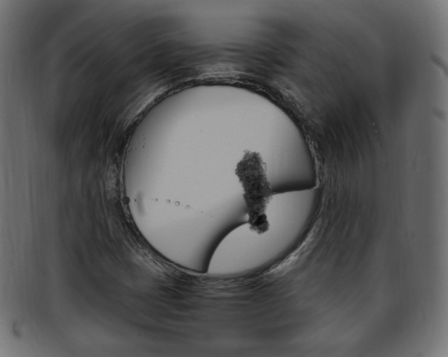 X0000094081401200710190907