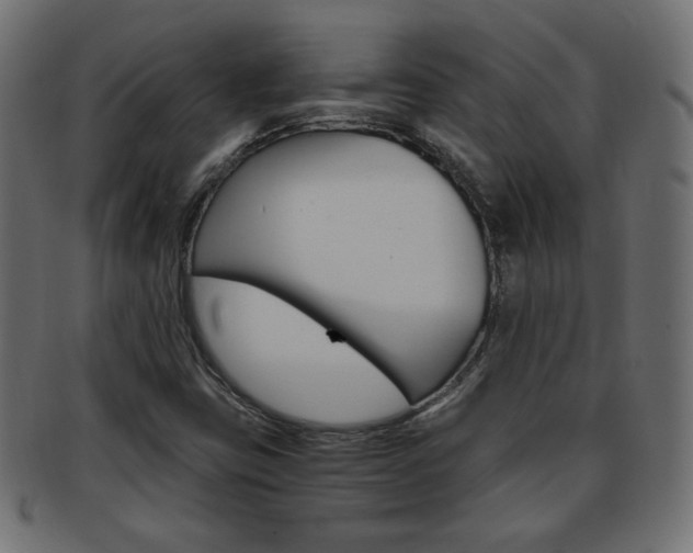 X0000094081403200710190907