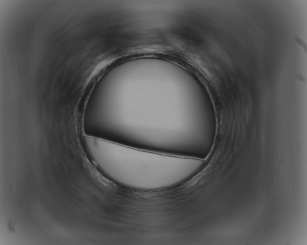 X0000094081404200710190907