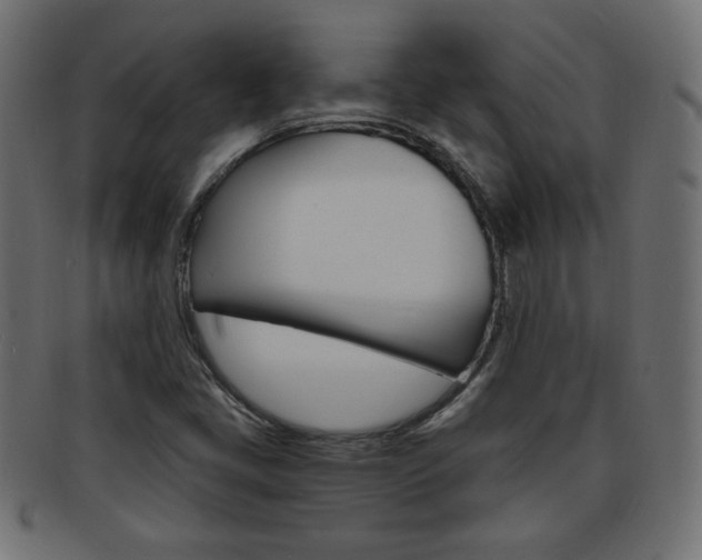 X0000094081405200710190907