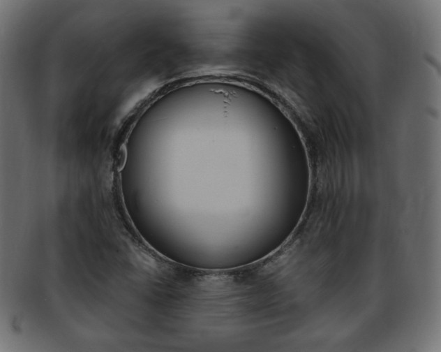 X0000094081406200710190907
