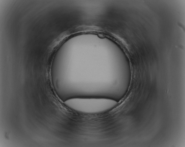 X0000094081407200710190907