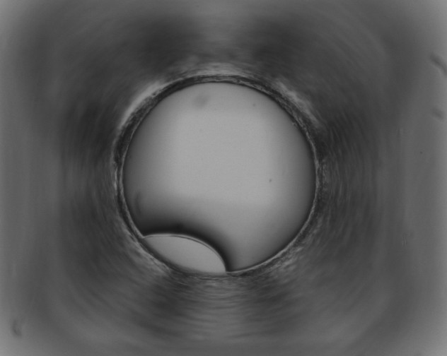 X0000094081408200710190907