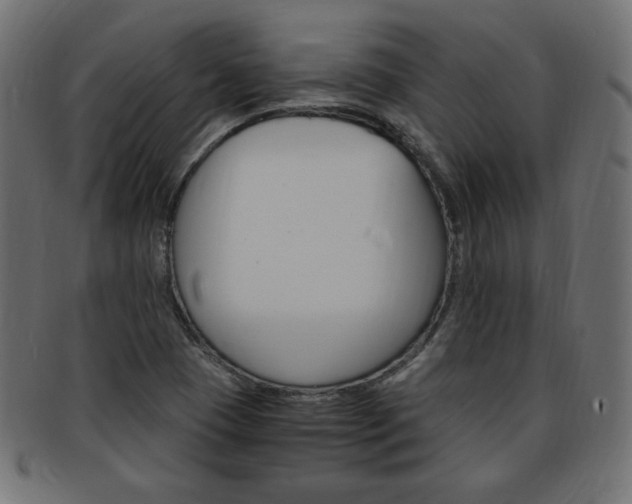 X0000094081409200710190907