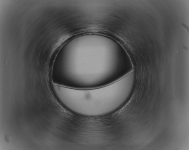 X0000094081410200710190907