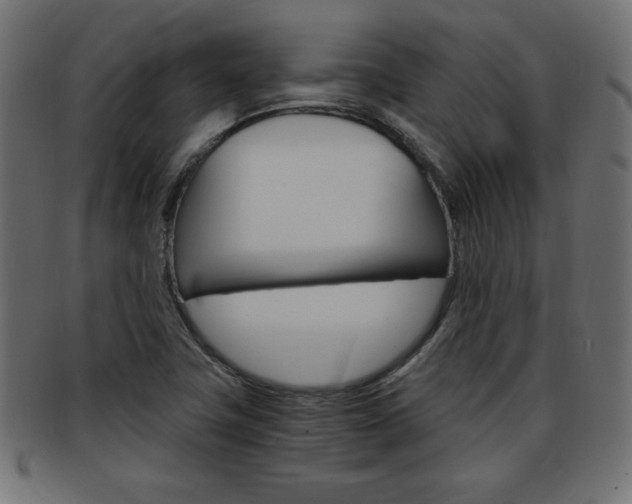 X0000094081411200710190907