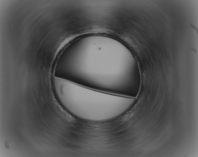 X0000094081412200710190907
