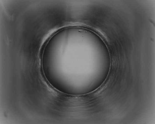 X0000094081414200710190907
