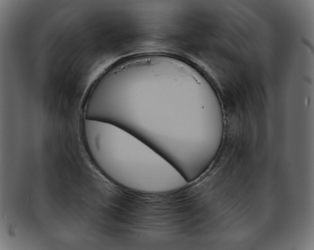 X0000094081415200710190907
