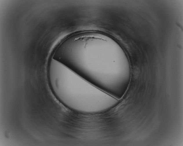 X0000094081416200710190907
