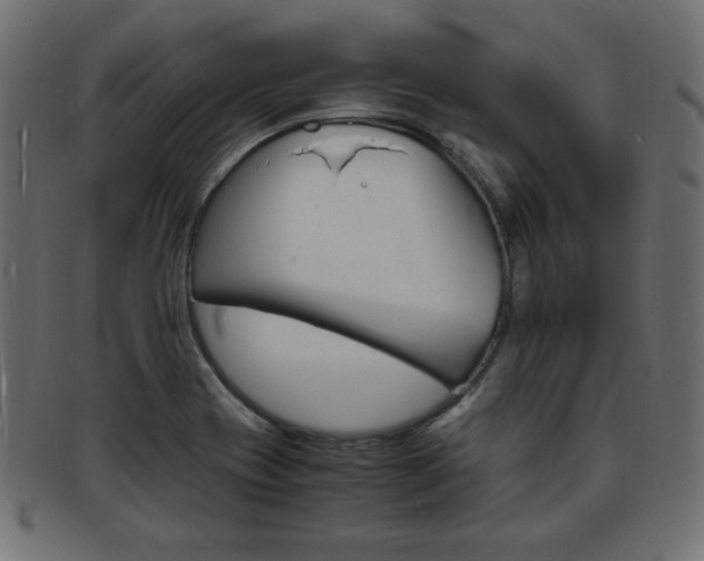 X0000094081417200710190907