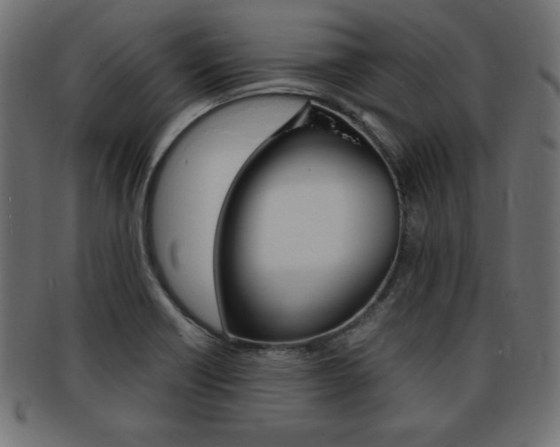 X0000094081418200710190907